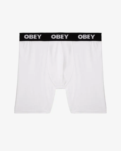 Fashion EST. WORK BOXERS (2-PACK) Accessories