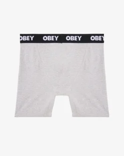 Fashion EST. WORK BOXERS (2-PACK) Accessories