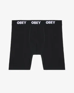 Fashion EST. WORK BOXERS (2-PACK) Accessories