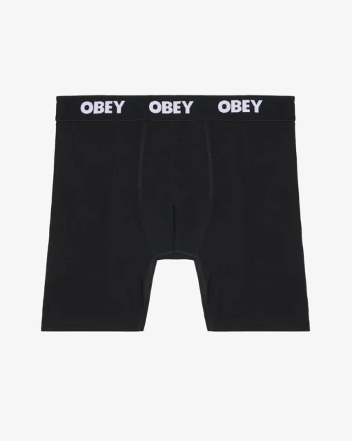 Fashion EST. WORK BOXERS (2-PACK) Accessories