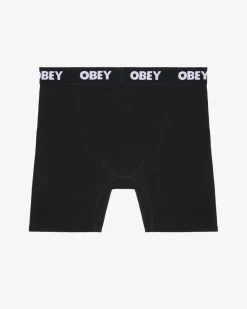 Fashion EST. WORK BOXERS (2-PACK) Accessories