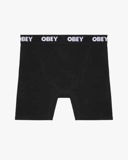 Fashion EST. WORK BOXERS (2-PACK) Accessories
